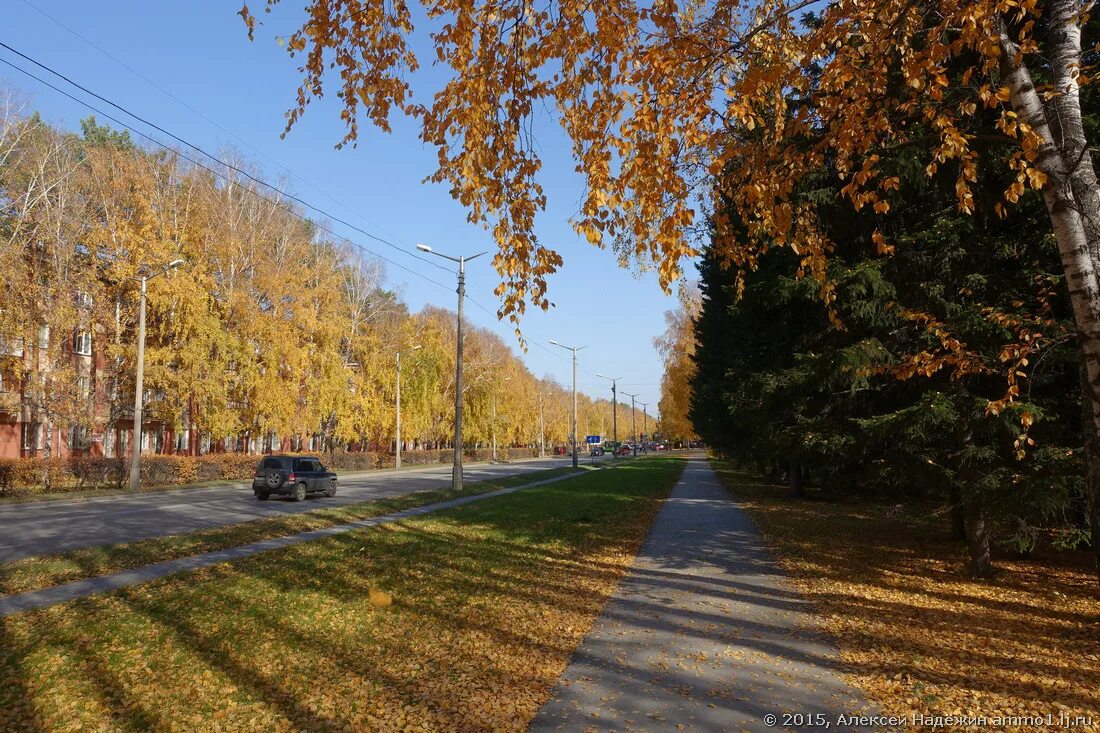 Академгородок с высоты птичьего полета. Академгородок новосибирск сверху. Новосибирск наукоград академгородок. Наукоград академгородок. Академгородок жизнь.