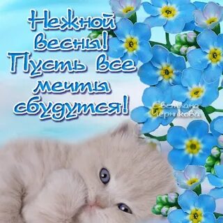 Поздравления с днем весны девушке