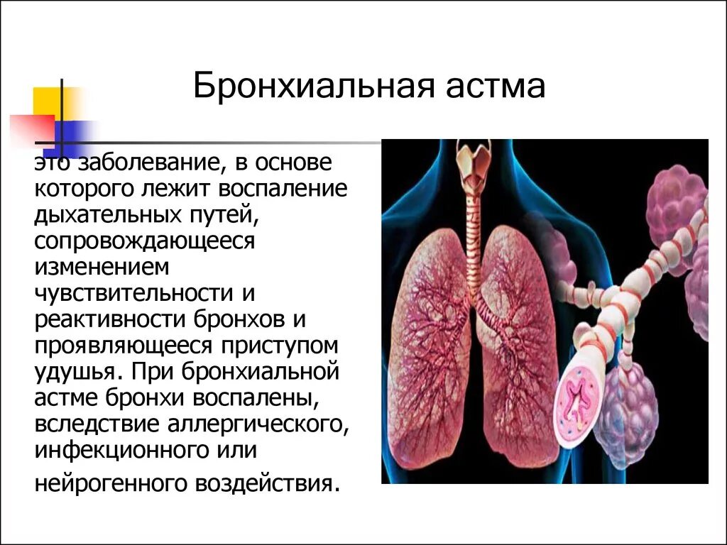 Бронхиальная болезнь легких