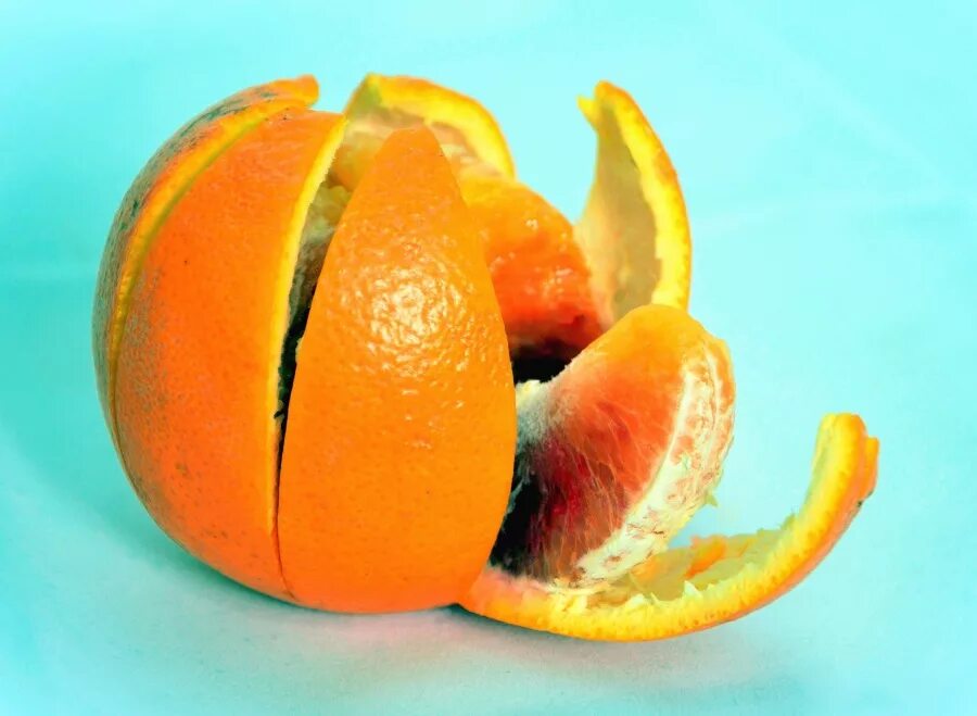 Пила фрукт. Orange Peel - Orange Peel. Цедра апельсина (апельсиновые дольки),100г. Мандарин оранж 10.40004n. Оранжевый лимон.