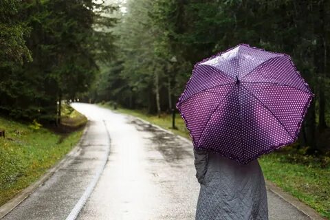 Зонт укрывает от дождя
