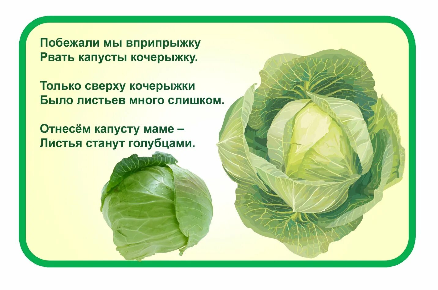 Как правильно говорить капусту. Стих про капусту. детские стишки про капусту. стишки для детей про капусту. стих про капусту для детей.