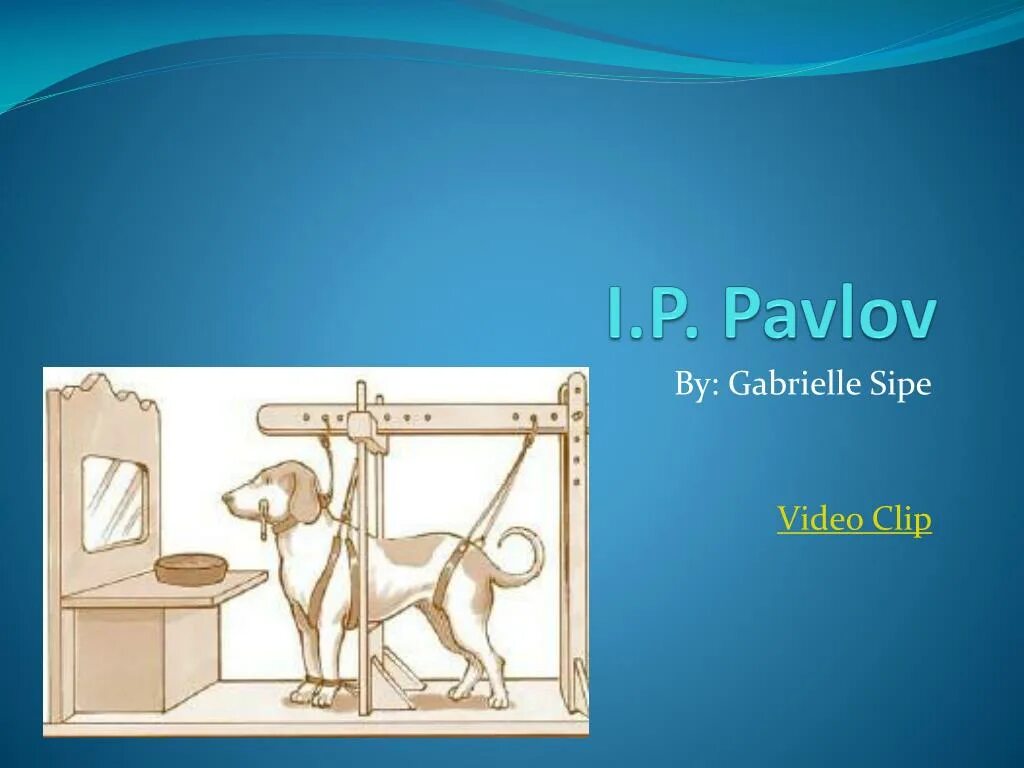 Читать вел павлов эрсус. I.P.Pavlov. Собака Павлова. I Pavlov nazariyasi. Pavlov v2 обложка.