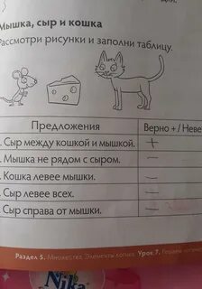 Что общего между мышкой и кошкой