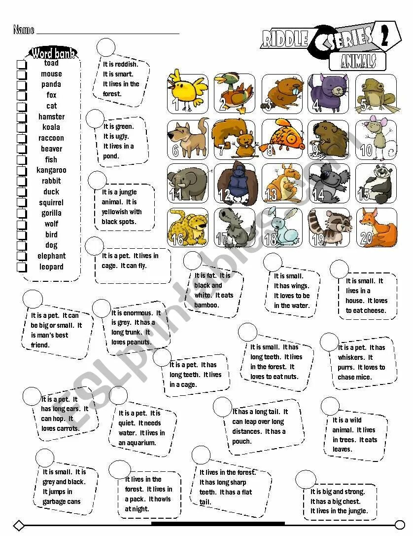 Pets riddles 120. Riddles about animals. Pet Riddles. Animals Riddles Worksheets. Riddle about Rabbit.