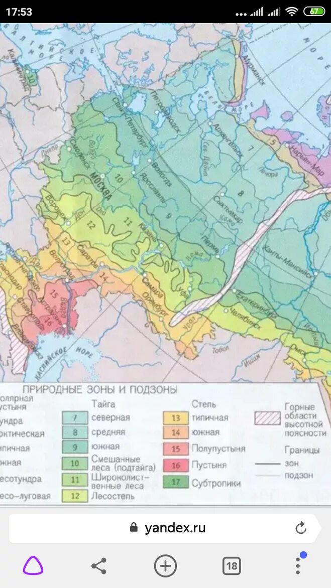 Нижний новгород в какой природной зоне расположен. Природные зоны. Карта природных зон. Природные зоны России. Карта природных зон России.