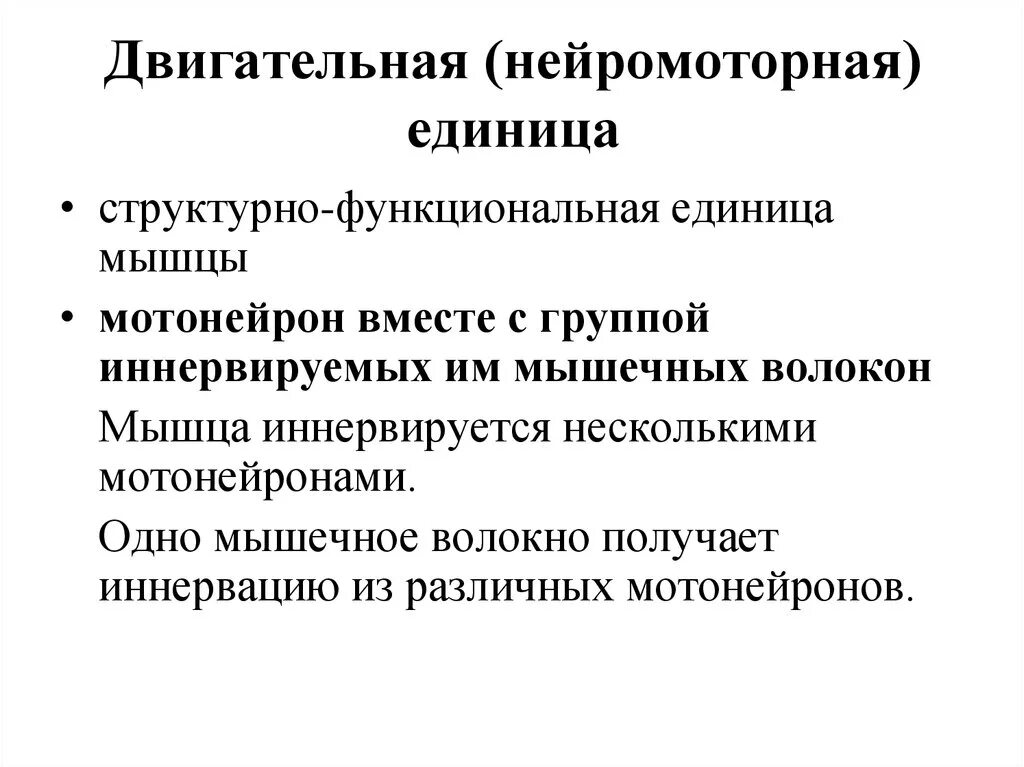 Нейромоторная единица. Фазные нейромоторные единицы. Нейромоторная единица. Нейромоторная единица. Нейромоторная двигательная единица.