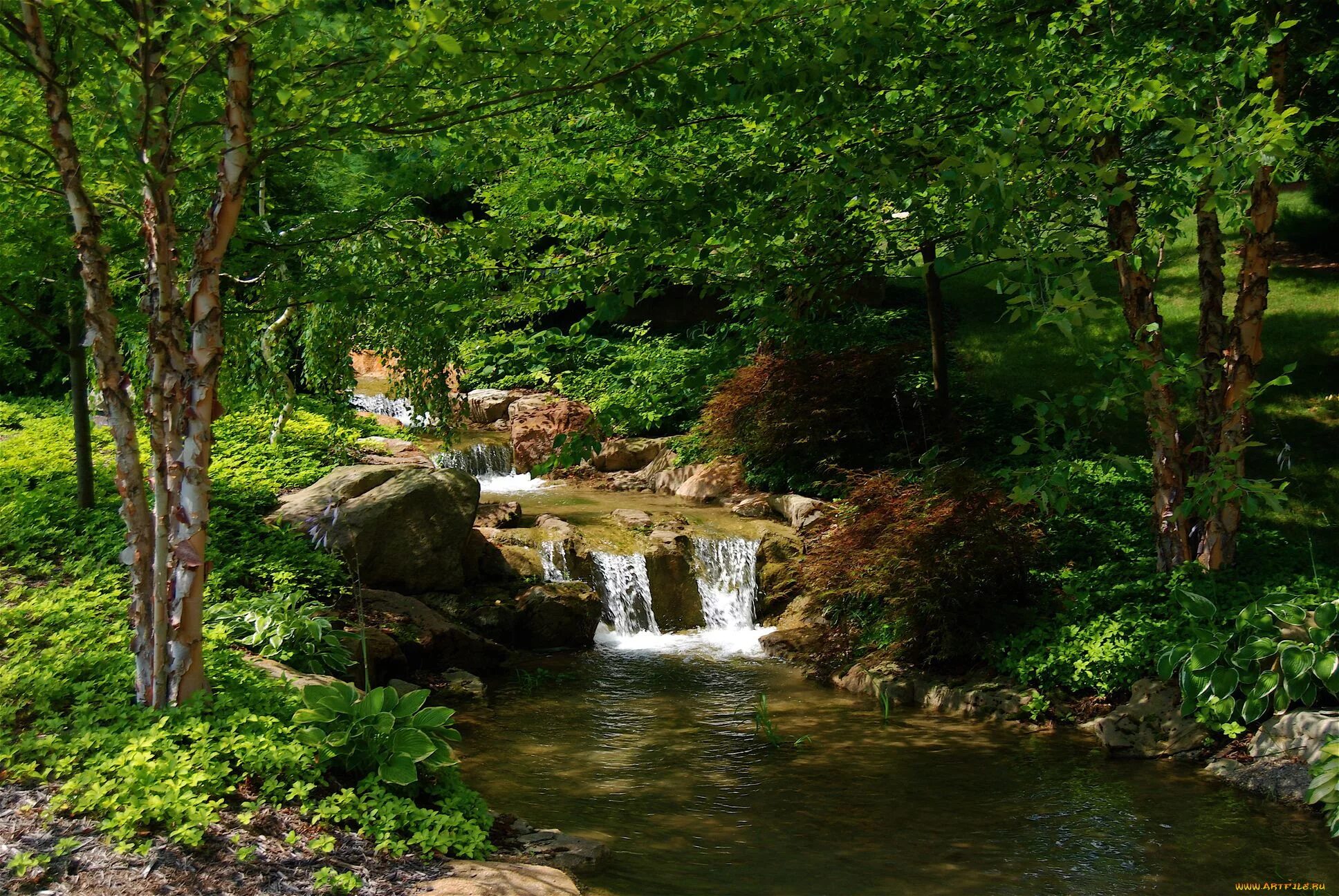 ручей и птицы. красота природы. лес ручей птицы. лес с ручьем. осень лес ручей.