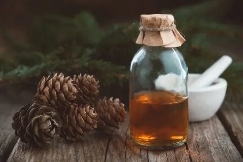Шишки сосны настойка применение