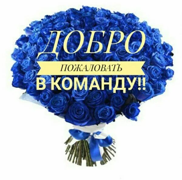 Чат добра