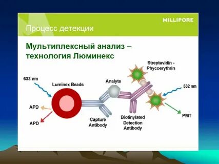 Иммунохимические методы анализа