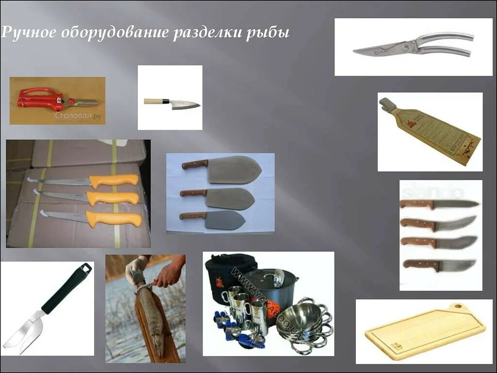 Инвентарь для обработки рыбы. Оборудование и инвентарь для разделки рыбы. инвентарь для потрошения рыбы. организация рабочего места повара по нарезке овощей.