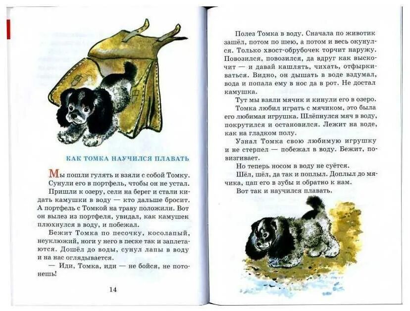 Небольшое произведение о животных. Е. чарушин «рассказы и сказки о животных». чарушин рассказы о животных 3 класс.