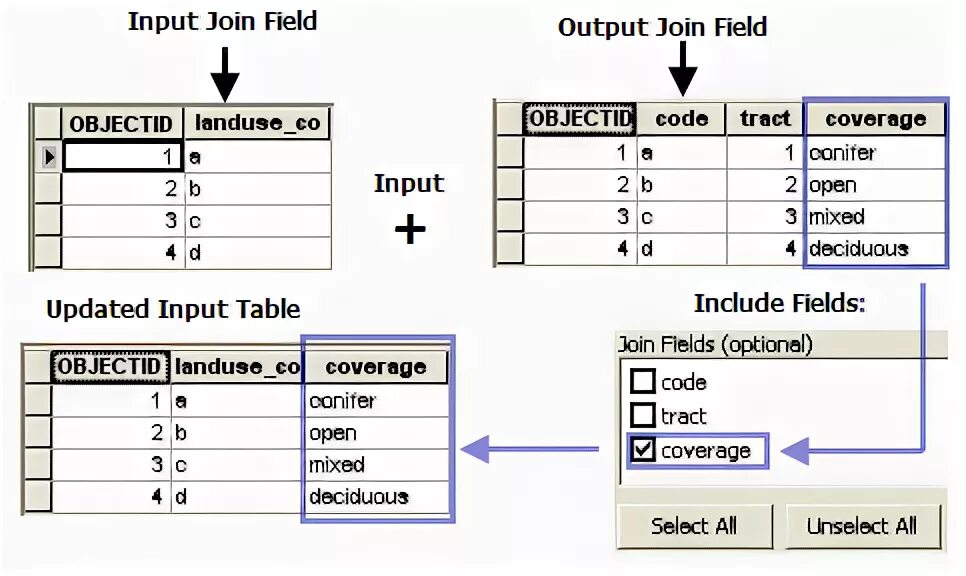 Пространственная привязка в ARCGIS. Geodatabase ARCMAP structure example. D3structo field Tool. Vector General ► join attributes by nearest. Tools fields