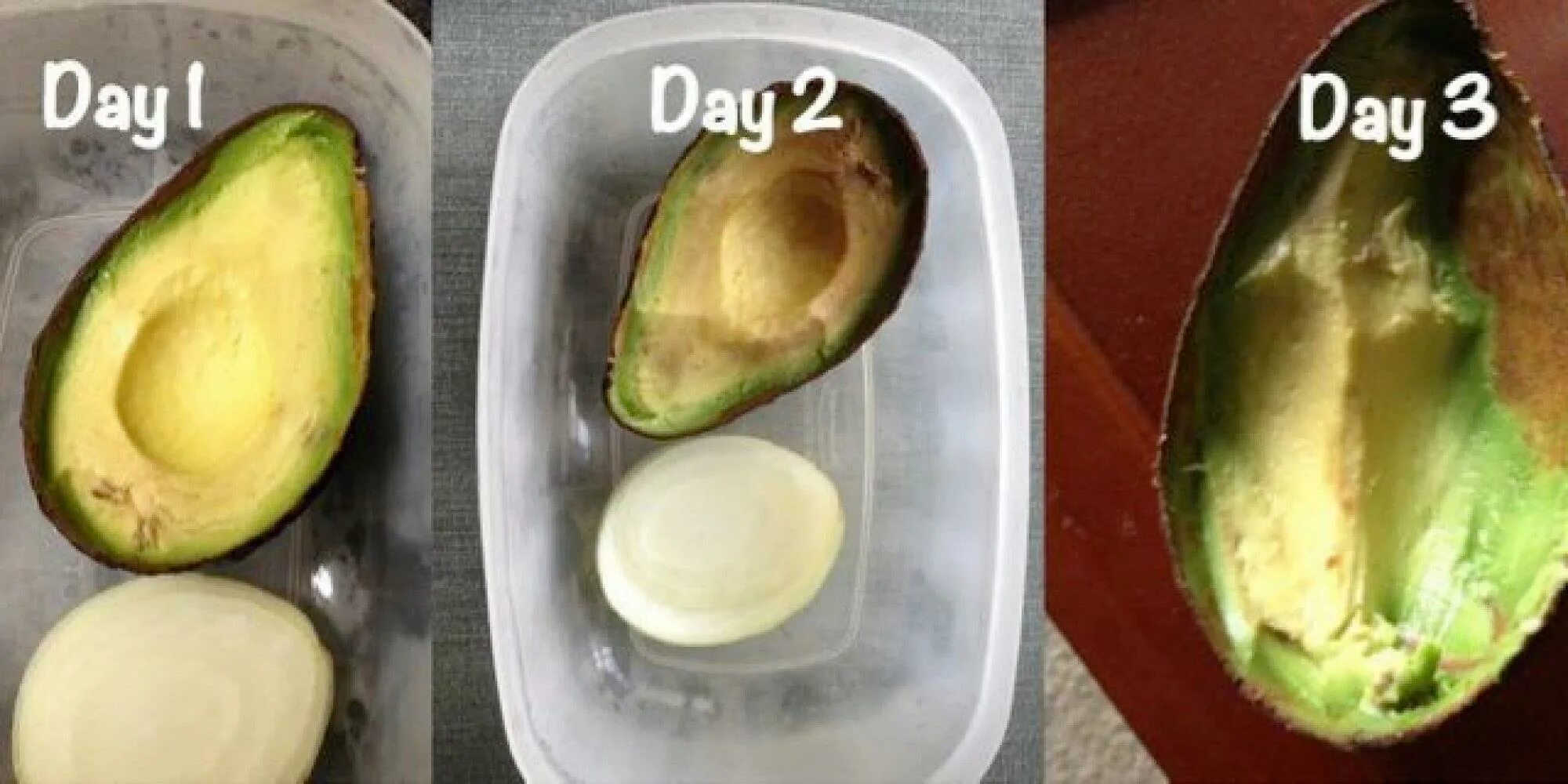 Авокадо в холодильнике. Как хранить авокадо после разрезания. Хранение авокадо. Как хранить авокадо после разрезания. Авокадо в холодильнике.