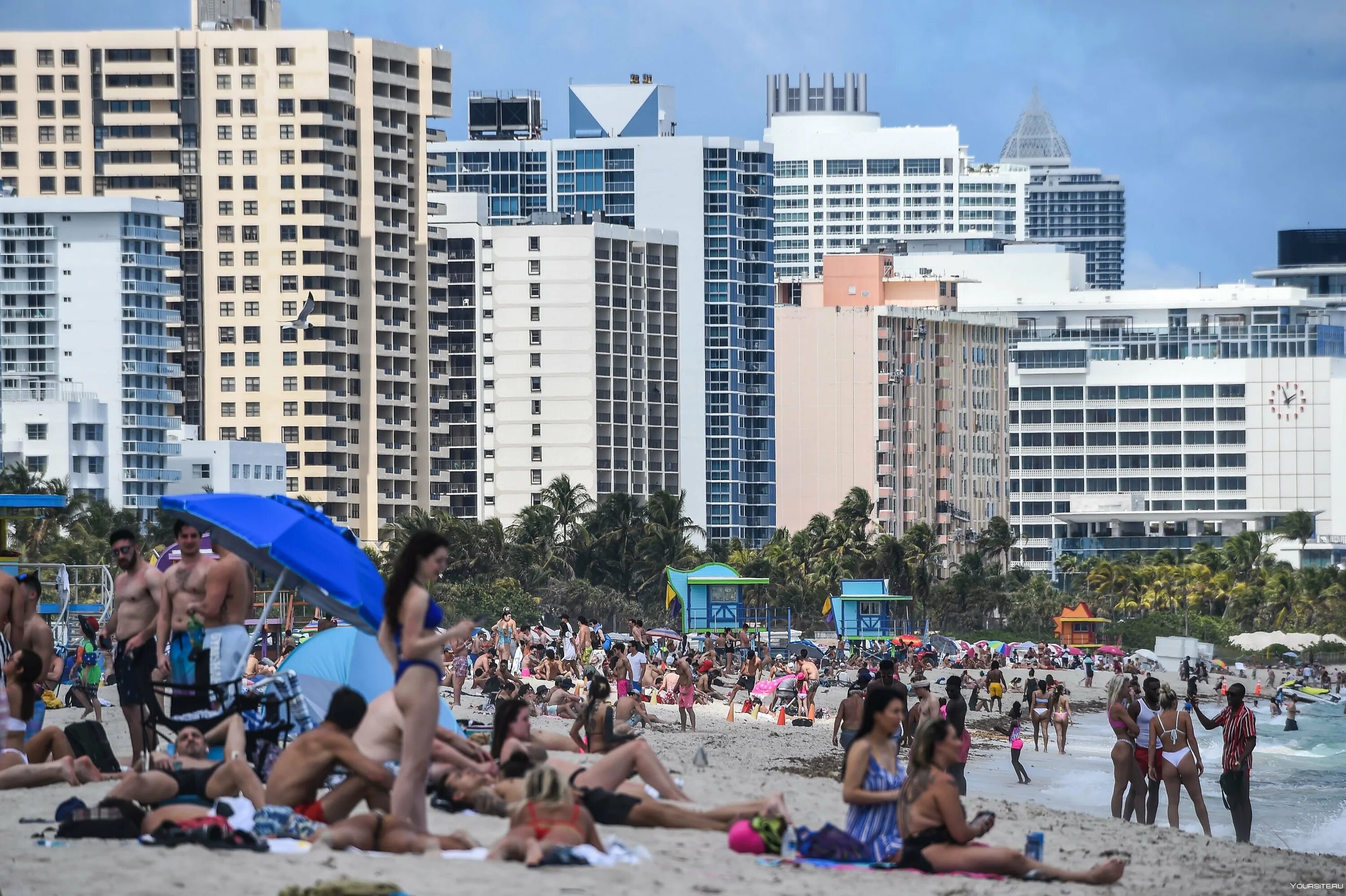 Дата в майами сейчас. Флорида люди. флорида пляж нью смирнов. miami people. спит в майами ..