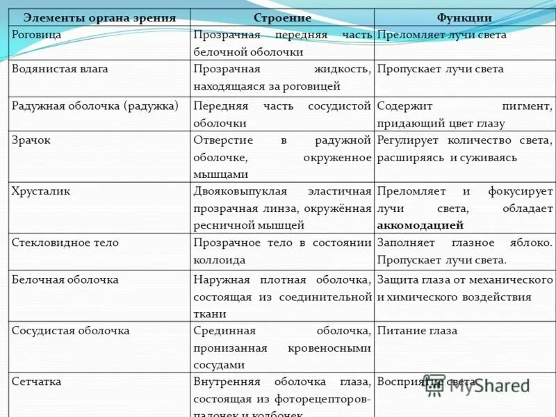 Части глаза строение и функции таблица. Виды мышечной ткани таблица. Таблица по биологии 6 класс строение стебля. Название структуры функция. Название структуры функция.