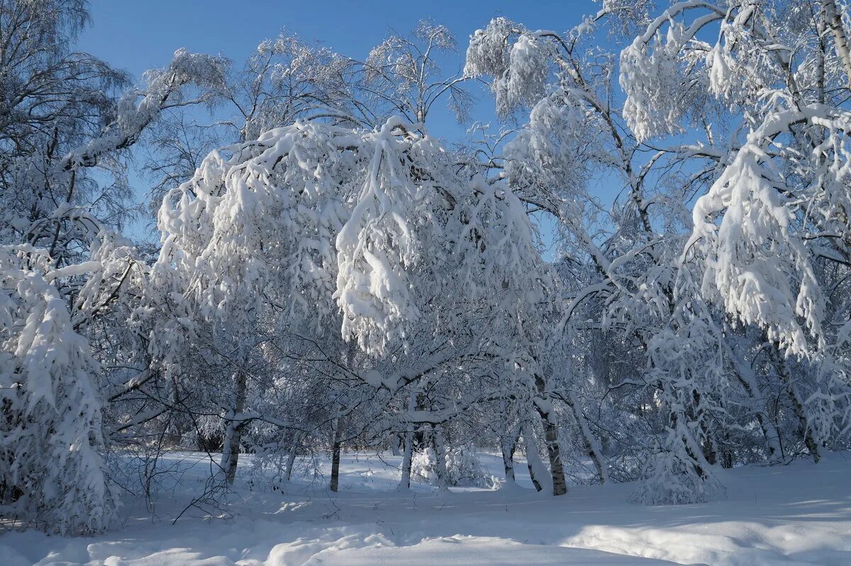 Yourtime winter видео. зима красавица своим морозом славится. зима красавица текст. красавица зима. зима зима красавица песня.
