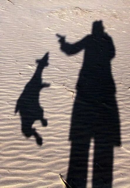 Креативные рисунки. Странные тени. Необычные тени. Тень от предмета. Винсент баль тени.