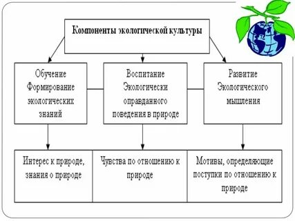 Схема экологического развития