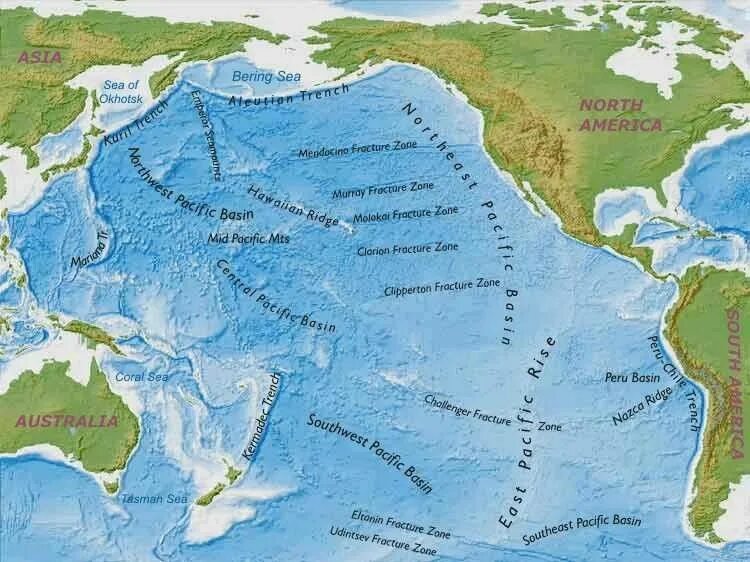 Северо запад тихого океана. Северо Восточная котловина на карте Тихого океана. Карта хребтов Тихого океана. Карта Тихого океана с морями заливами и проливами. Тихий океан на карте.