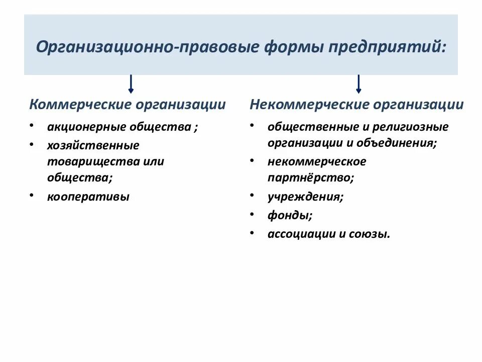 Учреждения коммерческие или некоммерческие. Основные организационно-правовые формы коммерческих организаций. Формы организационно правовые формы предприятия. Основные организационно правовые виды предприятий. Организационные формы коммерческих организаций.