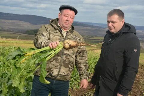 Главный агроном