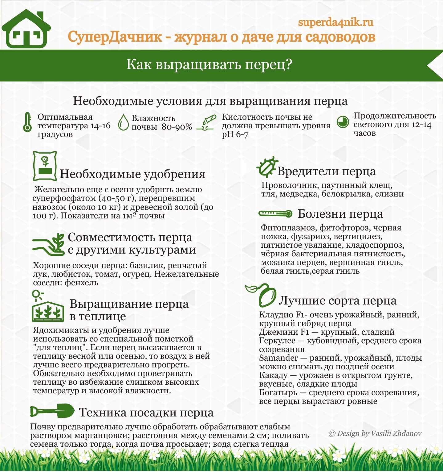 Подкормка для перцев в открытом. Схема подкормки перца. схема подкормки сладкого перца. схема удобрения перцев. схема подкормки перца в теплице.