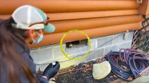 Утечки домашнего видео