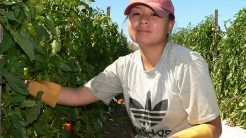 Farm job