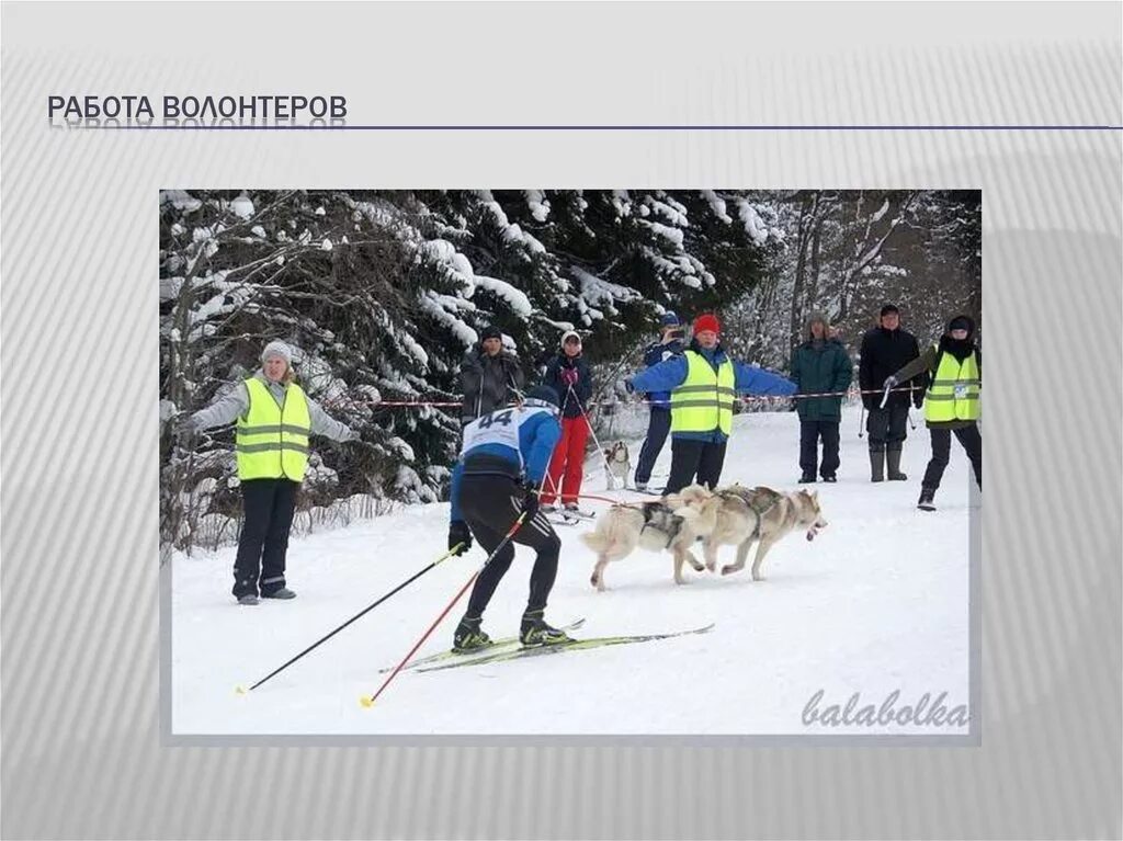 Том или ином направлении
