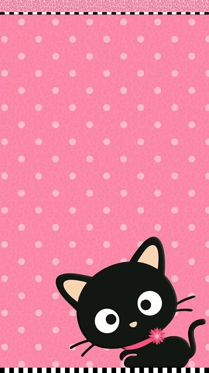 Кошка на розовом фоне. Котик на розовом фоне. Обои с котиками. Милый котик на розовом фоне. Черно розовую кошку