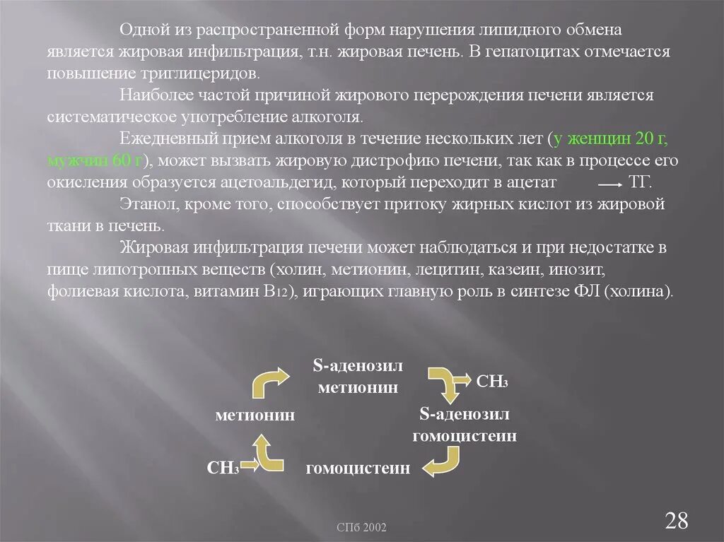 Как принимать метионин для печени. Биохимические механизмы жировой инфильтрации печени. механизм жирового перерождения печени биохимия. жировая инфильтрация печени механизм. жировая инфильтрация печени биохимия механизм.
