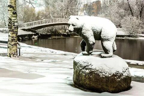 Животные петрозаводск