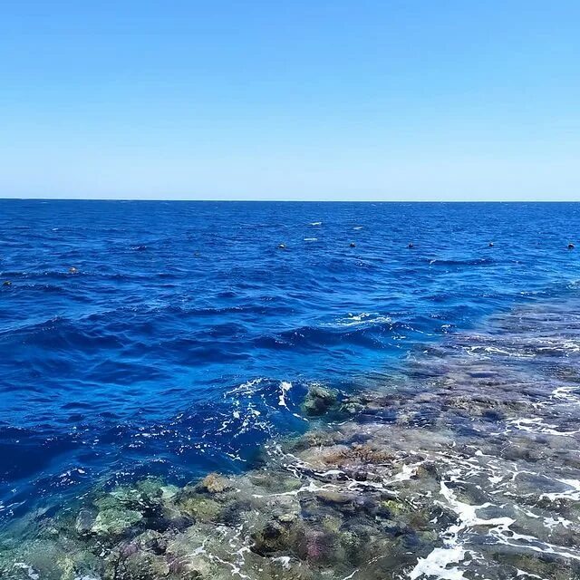 Синее море полностью. Синее море фото. самое синее море. самое синее море в мире. саргассово море фото вид сверху.