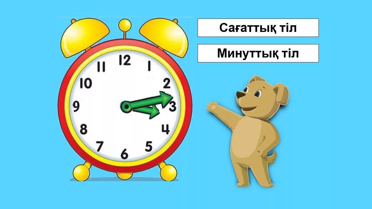 Шельпеки казахские. Минут казакша. Часы без стрелок. 12 часов для презентации. Минут.