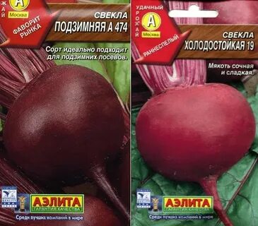 Семена свеклы в грунт