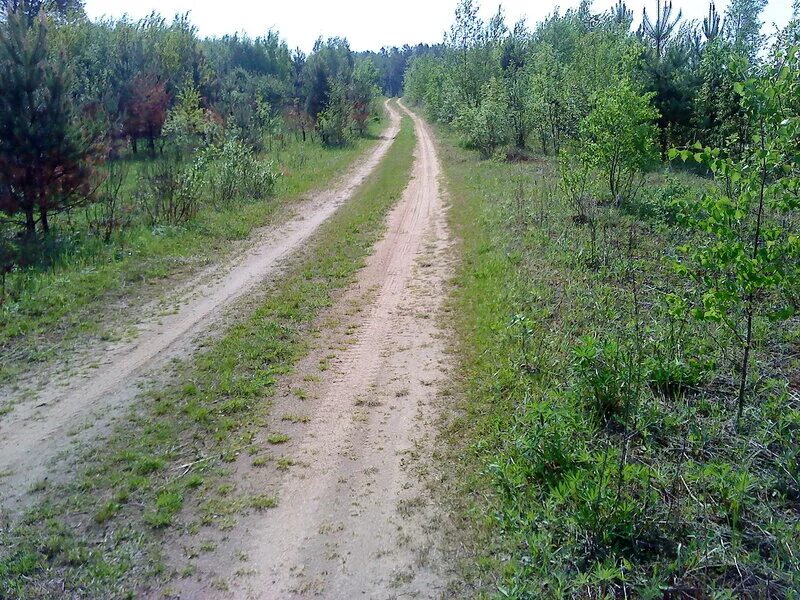 Погода в семлево вяземский