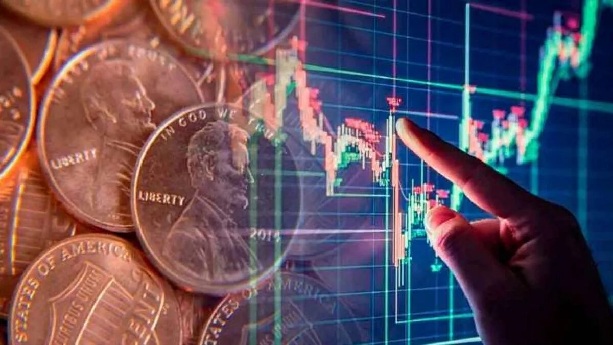 Инвестиции в фондовый рынок. Investor shares. Инвестирование в бизнес. Investor shares. Investor shares.