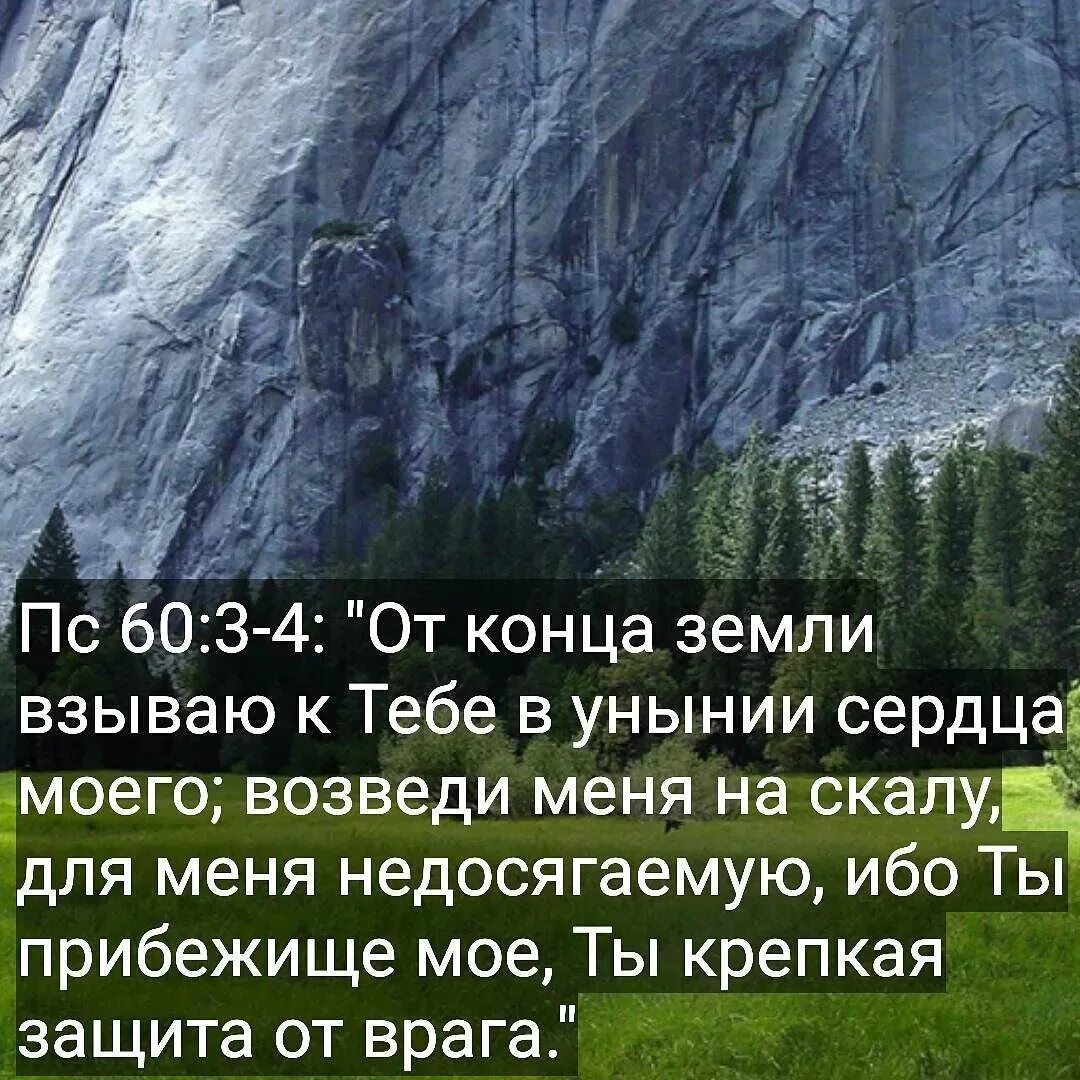 Воззови ко мне Библия. К тебе Господи воззову. Воззови ко мне и я отвечу. Возведи меня на гору для меня недосягаемую Библия. Внемлющий молитве