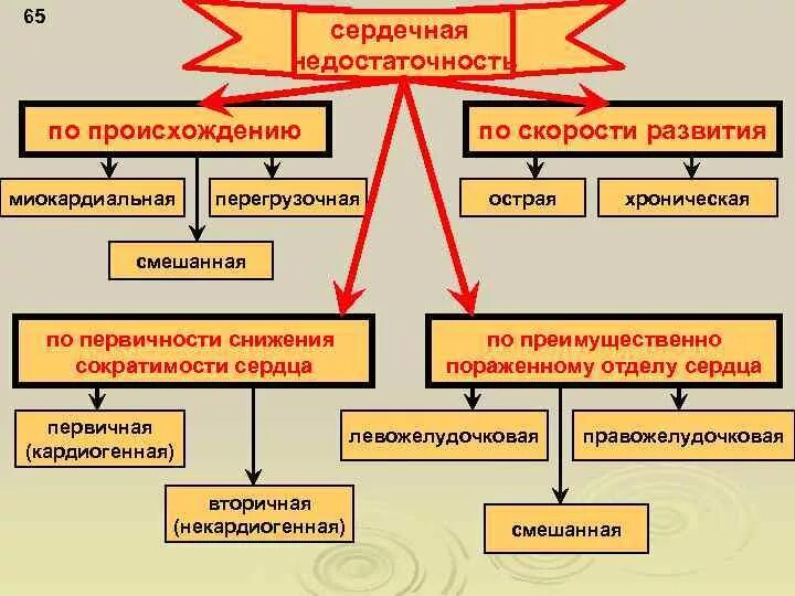 Схема патогенеза острой сердечной недостаточности. Патогенез острой сердечной недостаточности кратко. В ды сердечной недостаточности. Патогенез сердечно-сосудистой недостаточности. Сердечная недостаточность схема