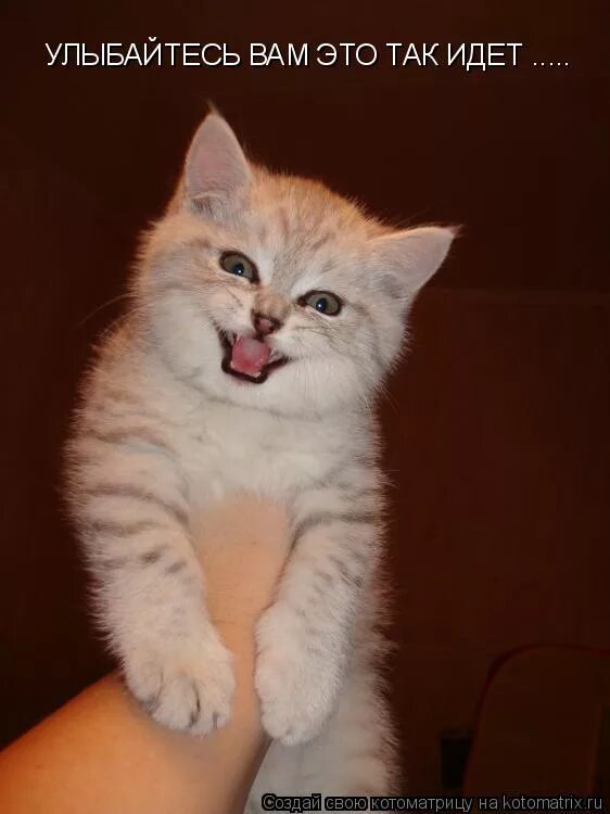 улыбайся почаще тебе идет. улыбнись тебе идет. улыбайся тебе идет улыбка. улыбнись хорошего дня. улыбайся чаще.