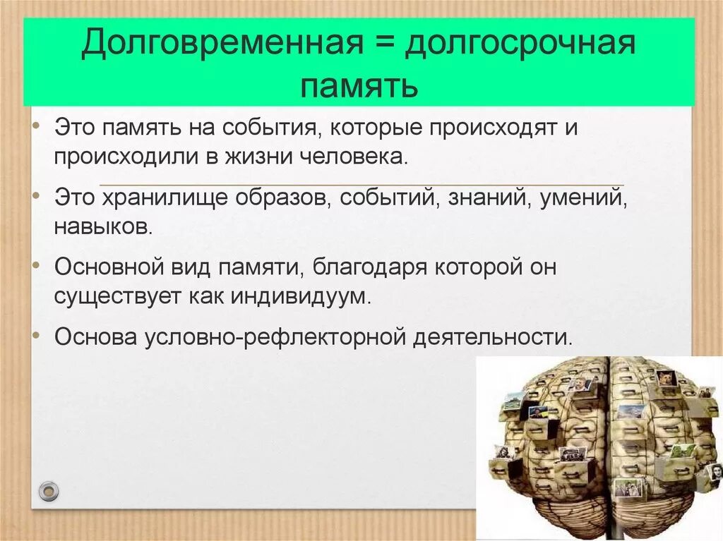 Память это кратко и понятно. Долговременная память человека. долговременная память это в психологии. долгосрочная память. кратковременная и долговременная память человека.