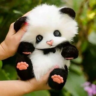 Покажи милую игрушку