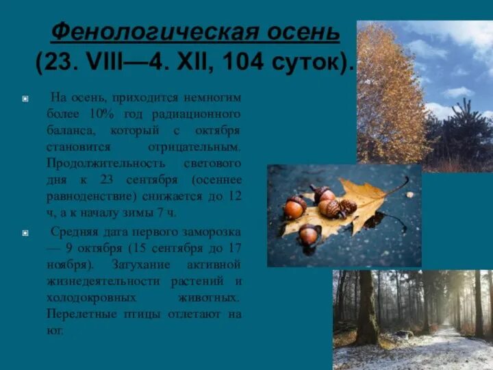 Значение фенологических наблюдений