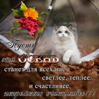 Дни становятся теплее