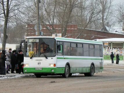 301 автобус санкт петербург