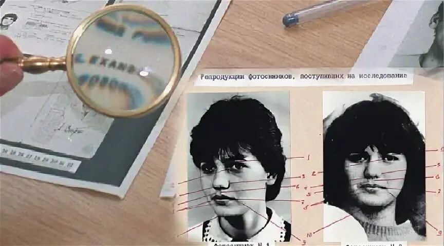 Рефлекторность