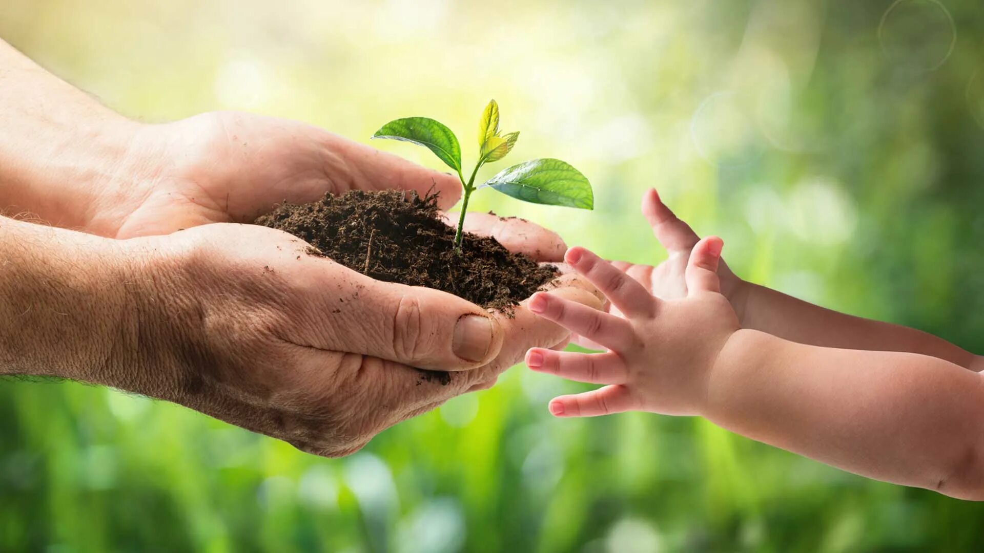 Человека на благоприятную окружающую среду. Экологичсекиеправа человека. Декларация по окружающей среде и развитию. Среду. Человека на благоприятную окружающую среду.