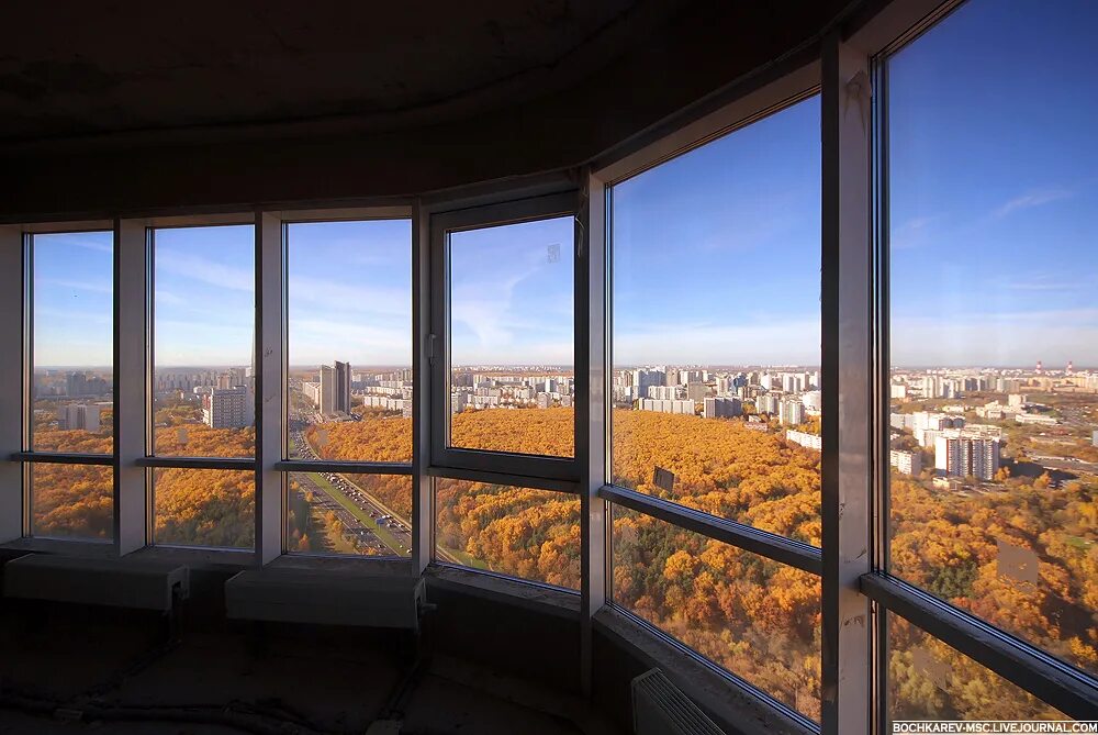 Мужчина 15 этаж. Панорамные окна на парк. Панорамный вид из окна Москва. Панорамные окна с видом на парк. Квартира с видом на парк.